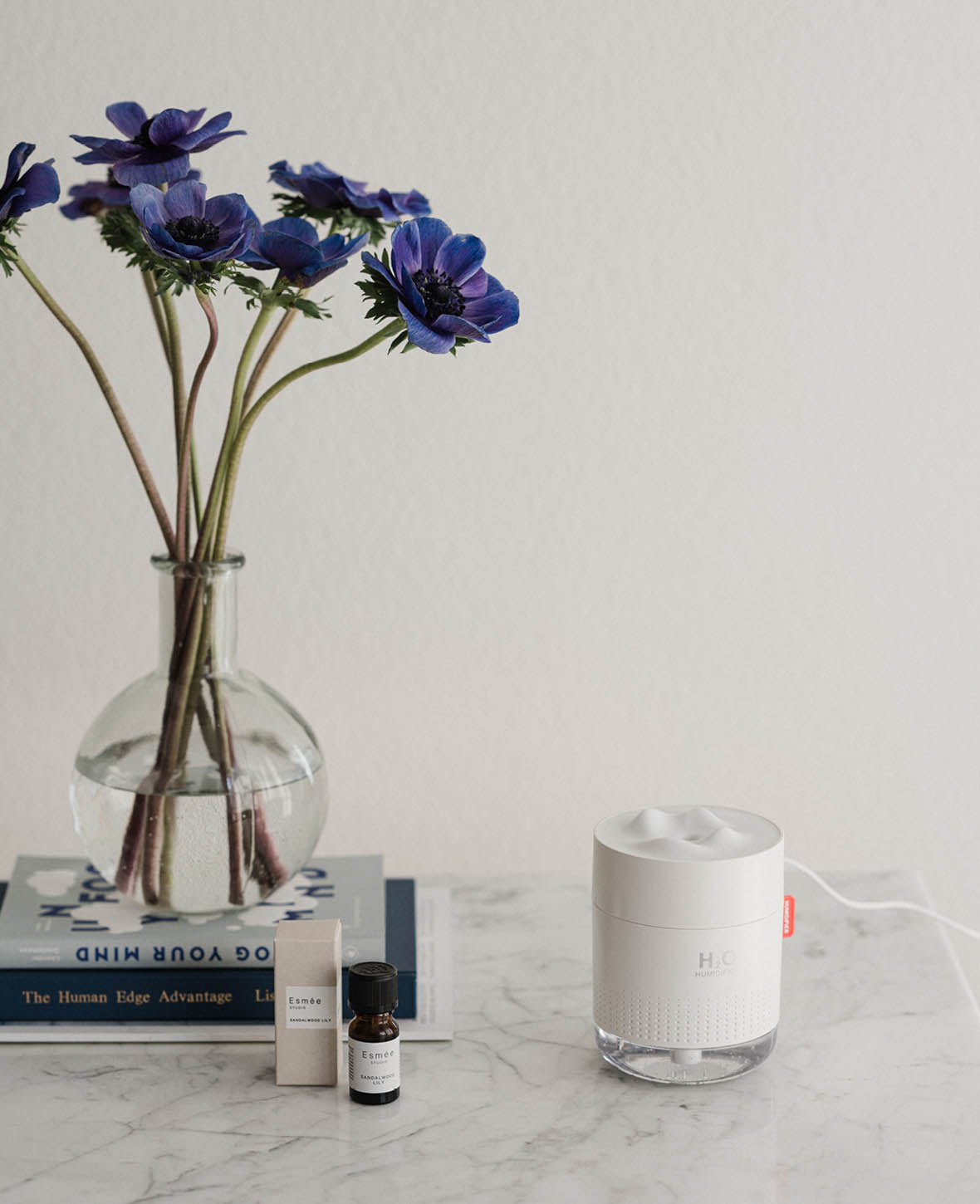 USB Luftbefeuchter Aroma Öl Diffuser mit LED Beleuchtung, Weiss, 500 ml