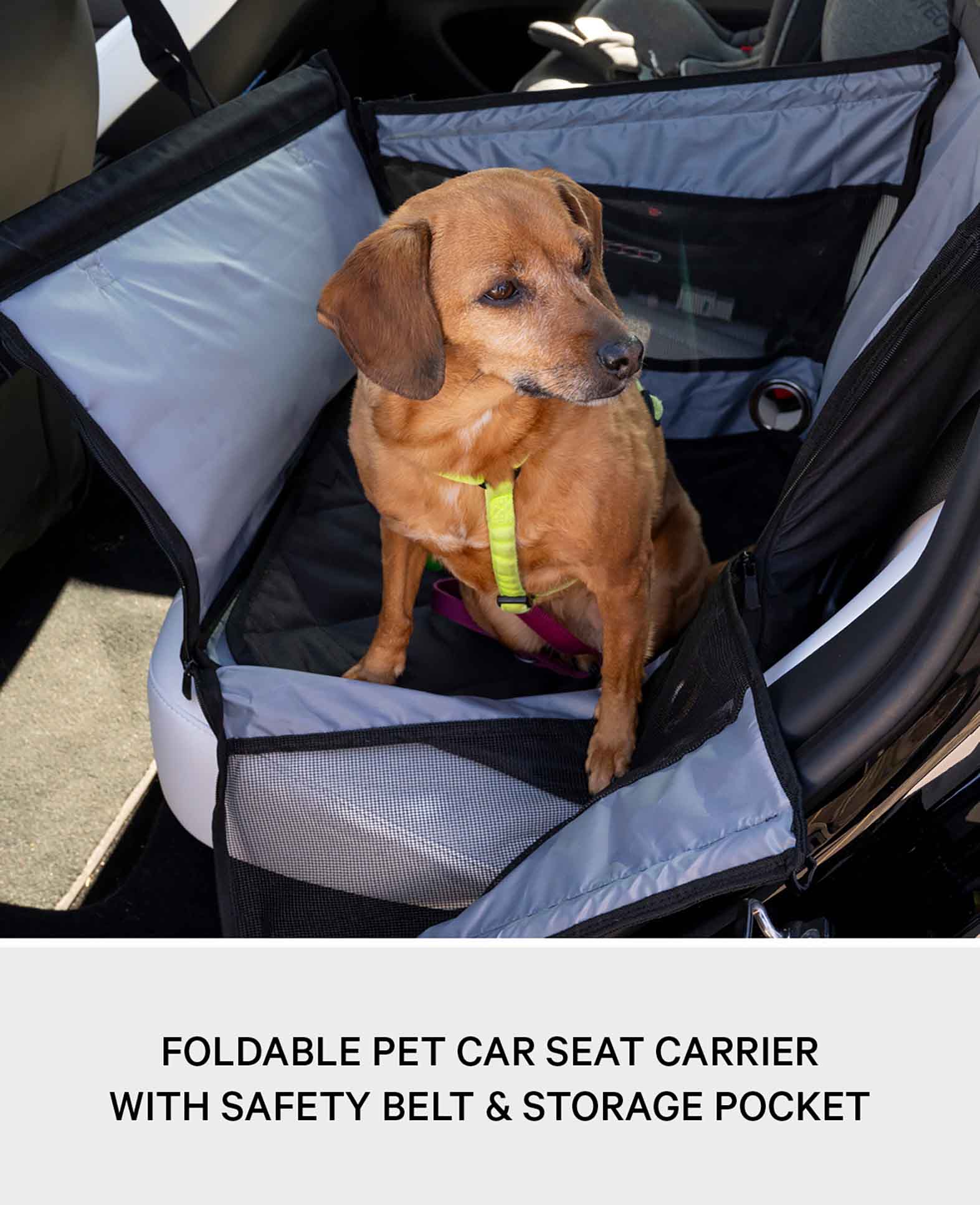 (49x49cm) Siège auto pour chien pour banquette arrière Siège de transport pliable + Ceinture de sécurité