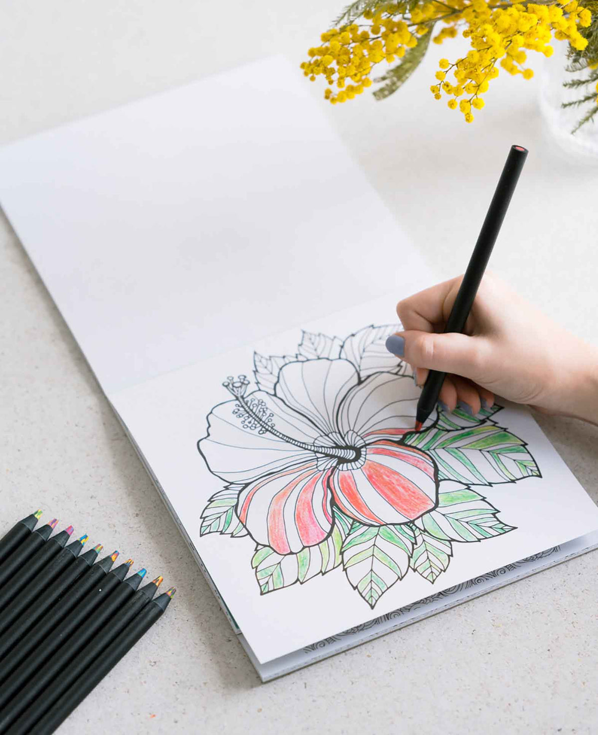 Wooden Kids Colored Pencils Sketch Gradient Color Pencils, 17.5cm, 12 pcs.