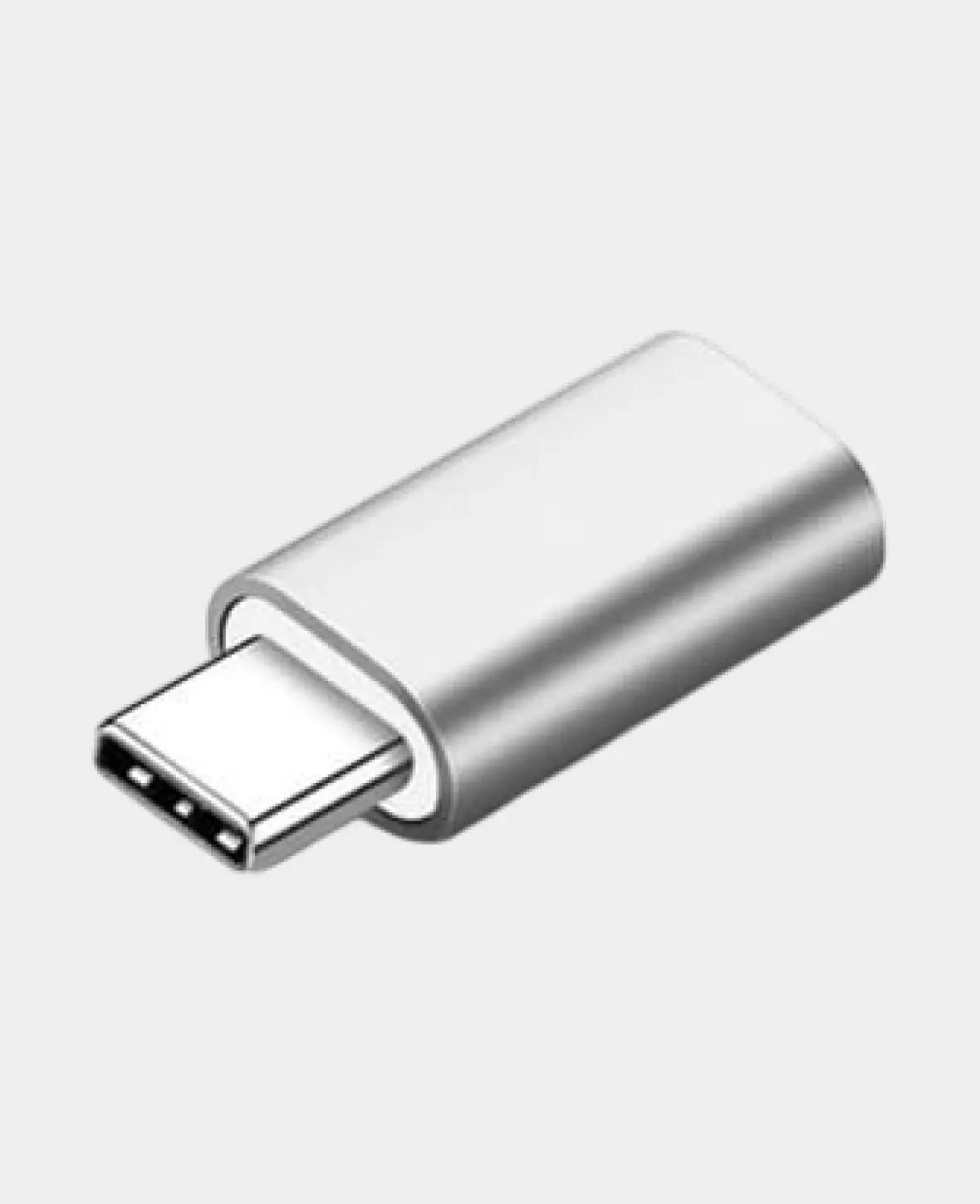 USB C auf Lightning Mini Konverter Adapter - Silber