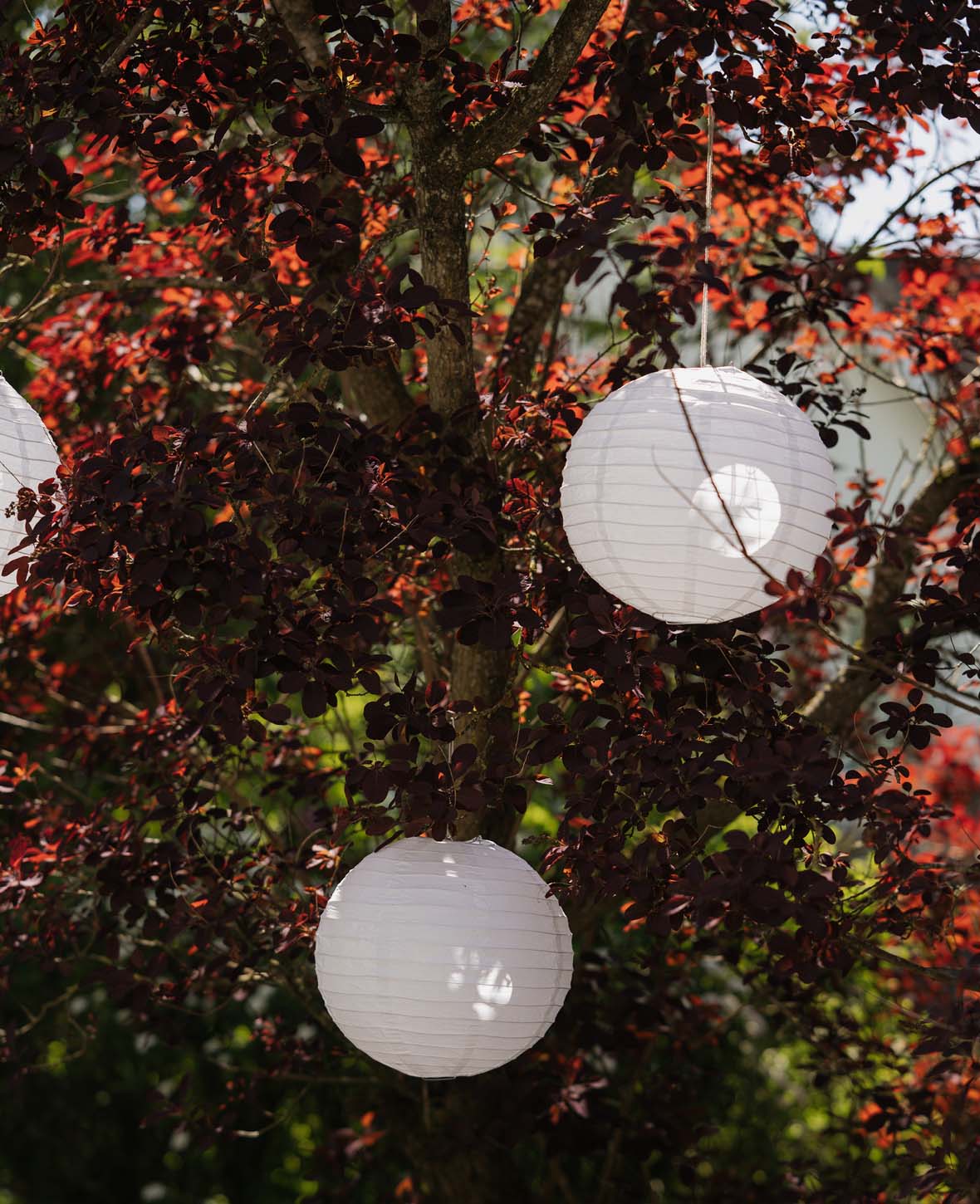 (Lot de 10) Lampion en papier Ø30cm avec LED, décoration pour fête / anniversaire /