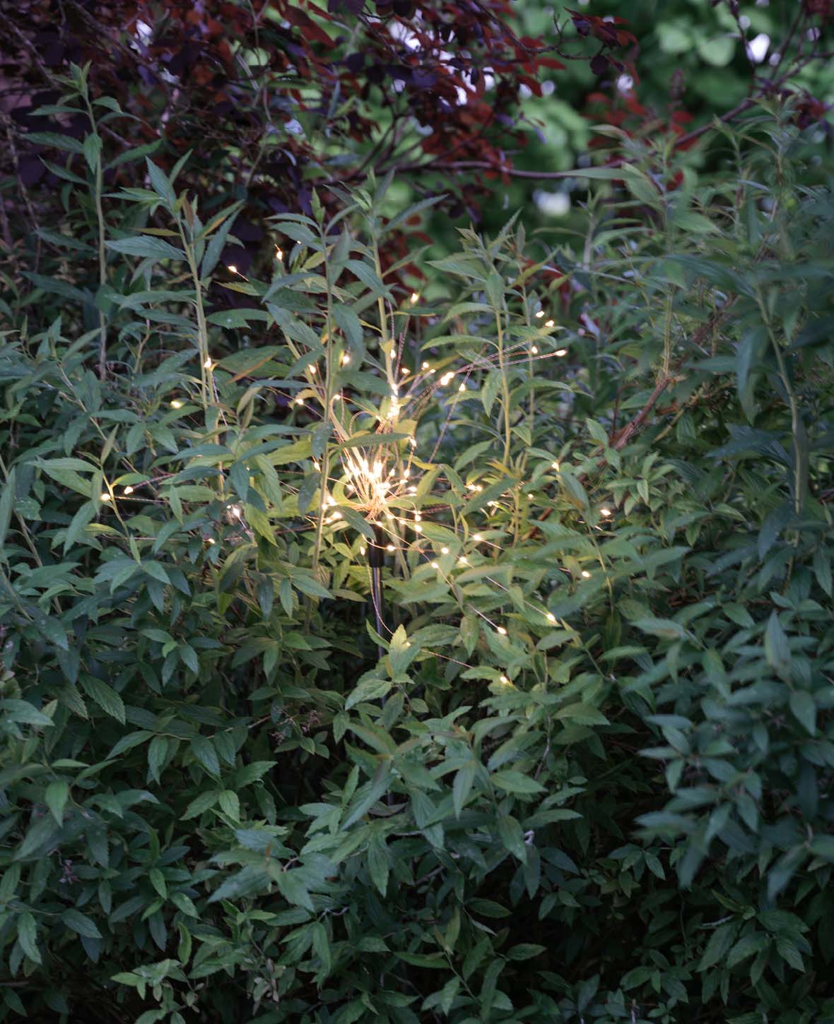 Outdoor LED Solar Gartenleuchte mit Erdspies - Warmweiss