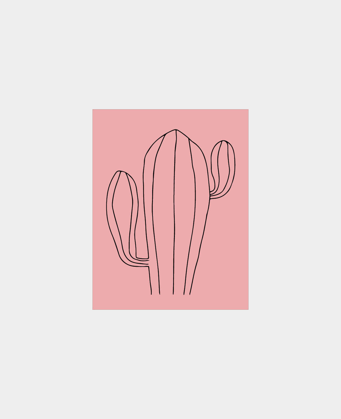 M&B Desert Cactus