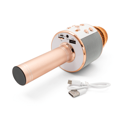 Karaoke Microphone with Bluetooth / AUX / TF Card and Integrated Speaker