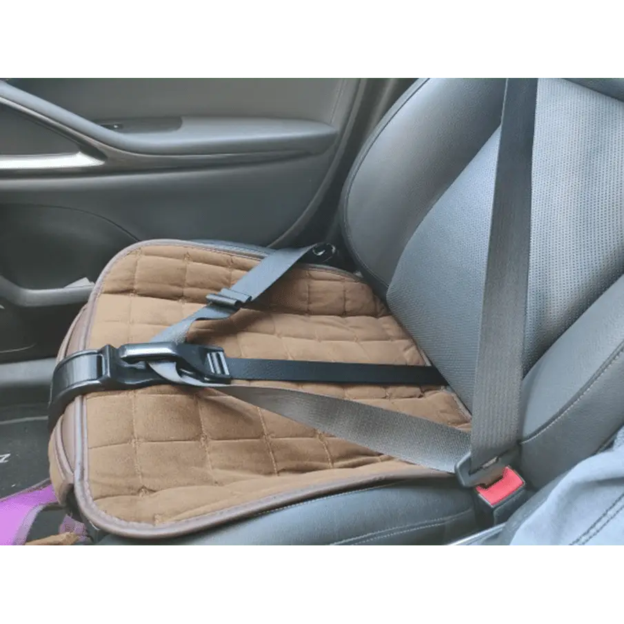 Universal Schwangerschafts Auto Gurt Baby Bauch - Schwarz