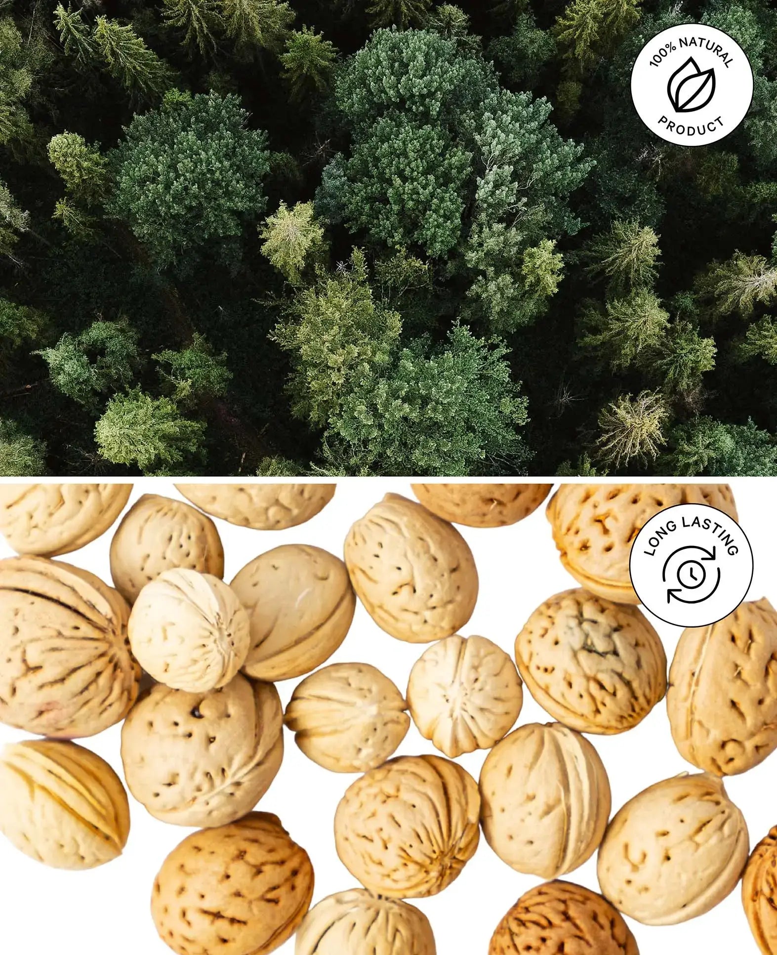 Small Dried Walnuts, Natural Brown, 49g