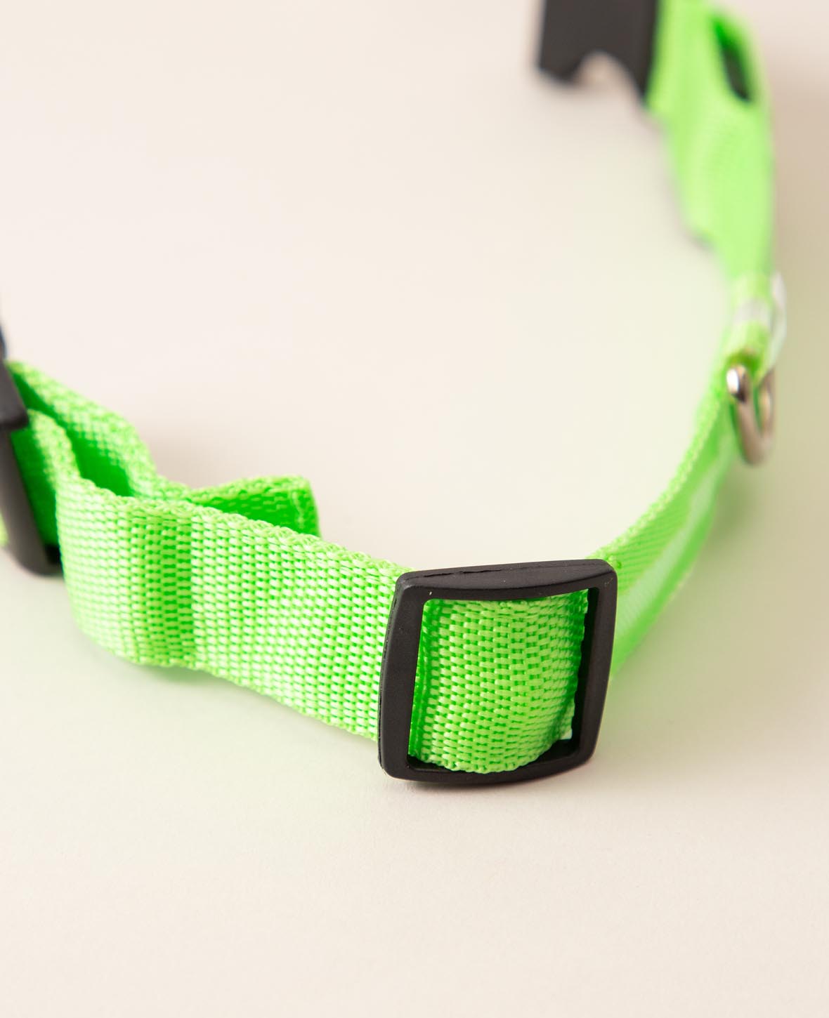 LED Dog Collar, S