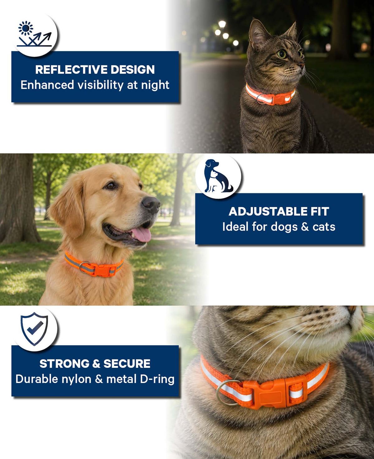 Reflektierendes Hunde- & Katzenhalsband, Orange