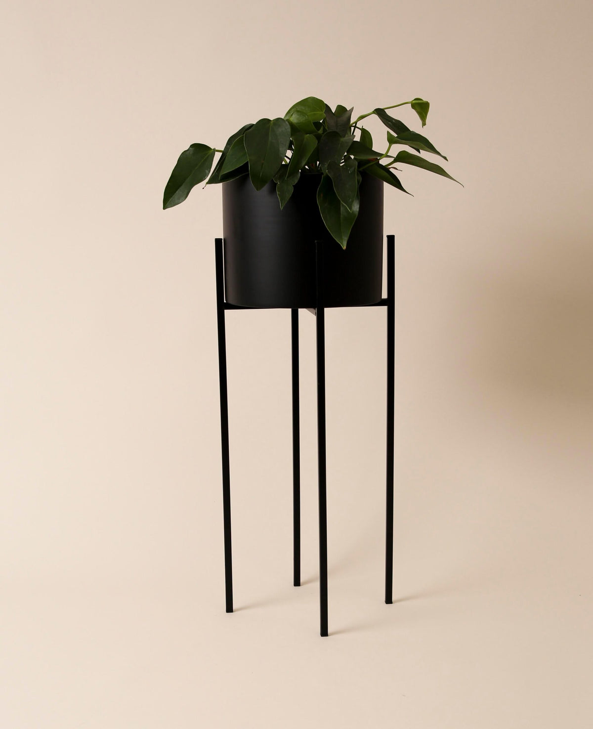 Stehtopf / Blumentopf mit Beinen aus Metall, matt schwarz, 62 cm