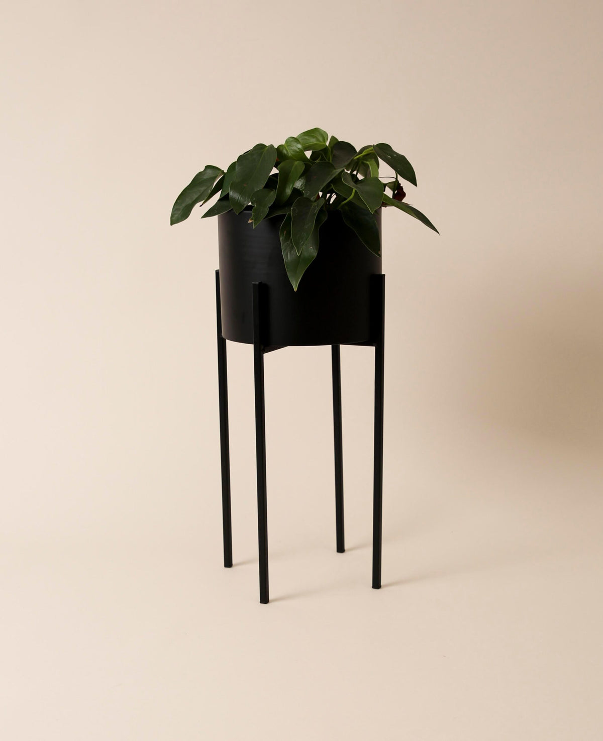 Stehtopf / Blumentopf mit Beinen aus Metall, matt schwarz, 52 cm