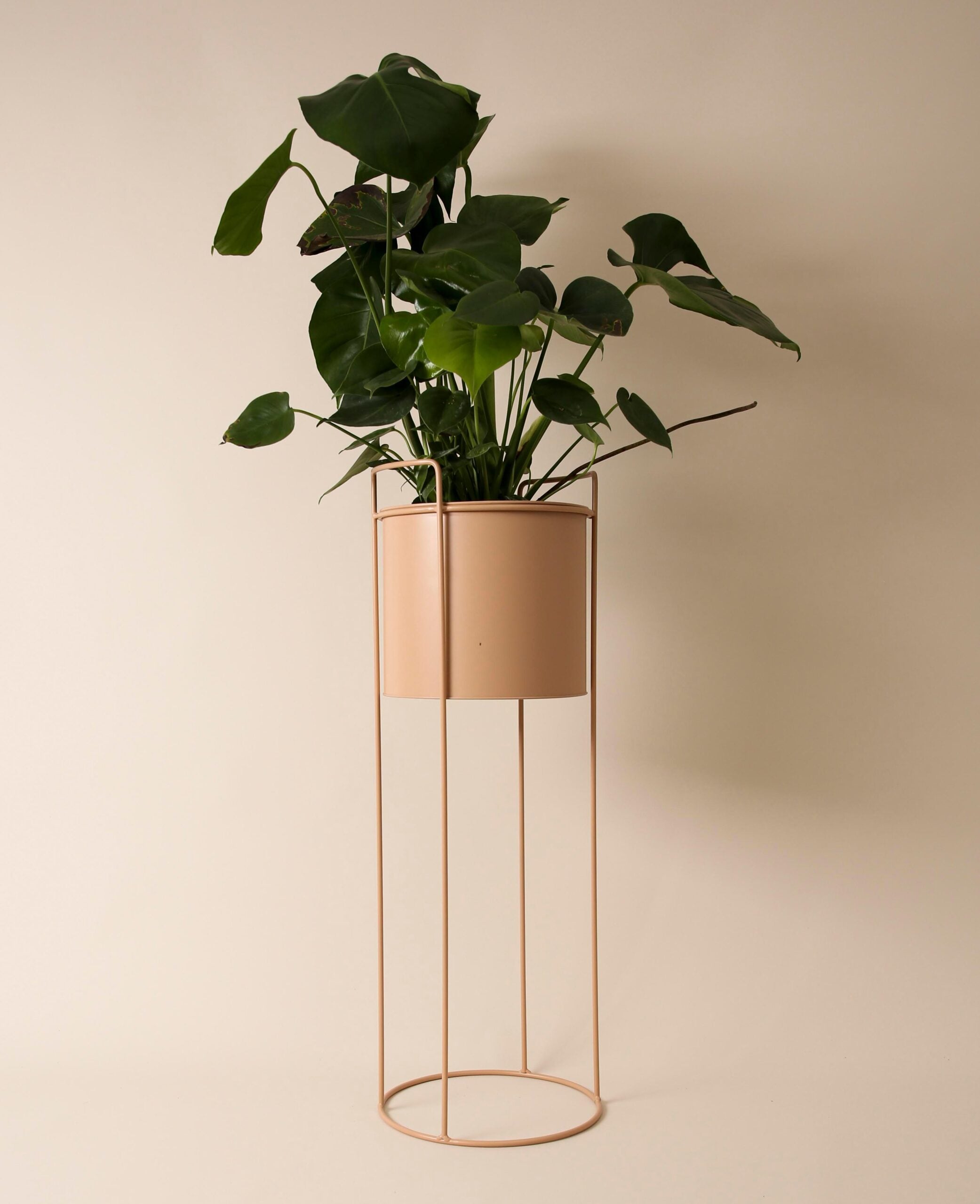 Nudefarbener Stehtopf / Blumentopf mit Beinen, altrosa, 76 cm