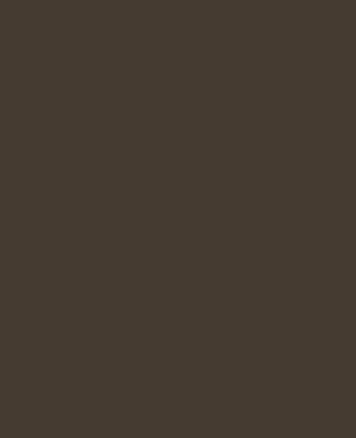 Peinture KREUL pour verre et porcelaine, brun foncé, 20 ml