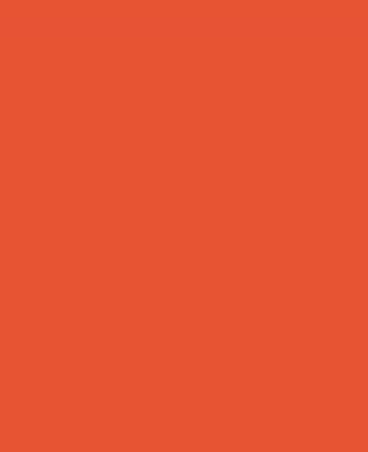 Triton Acrylic Liquid, auf Wasserbasis, Zinnoberrot, 750 ml