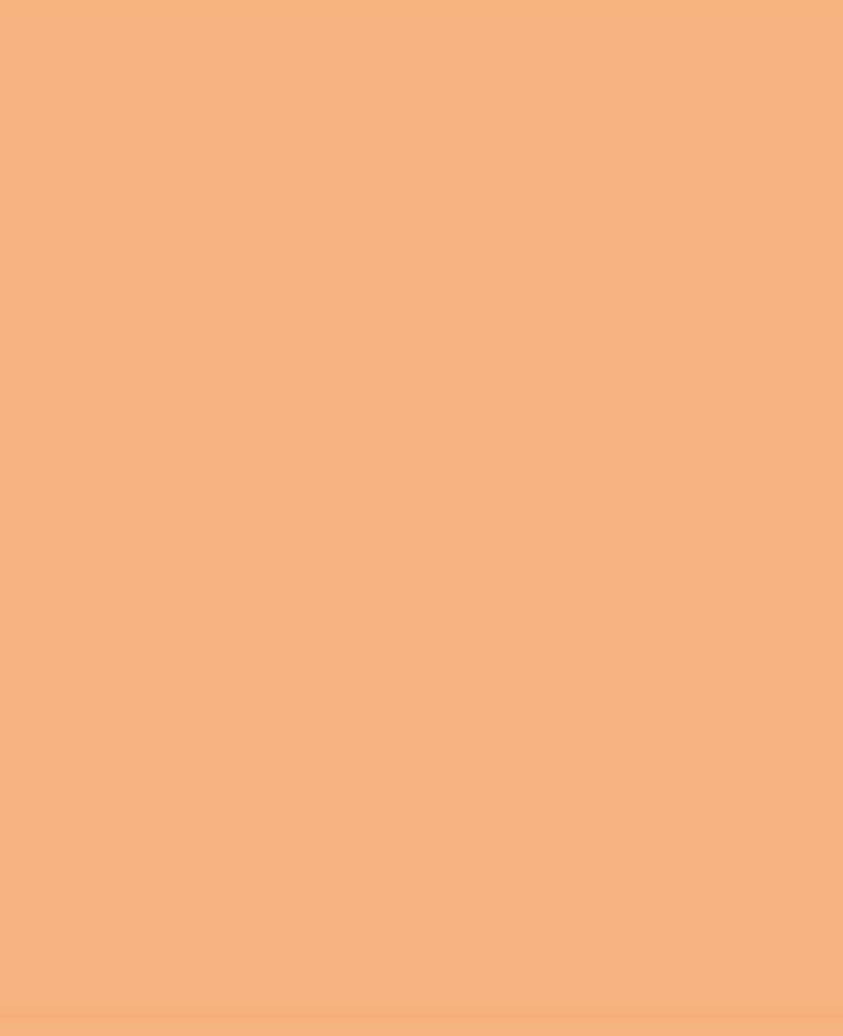Triton Acrylic Liquid, auf Wasserbasis, Terracotta, 750 ml
