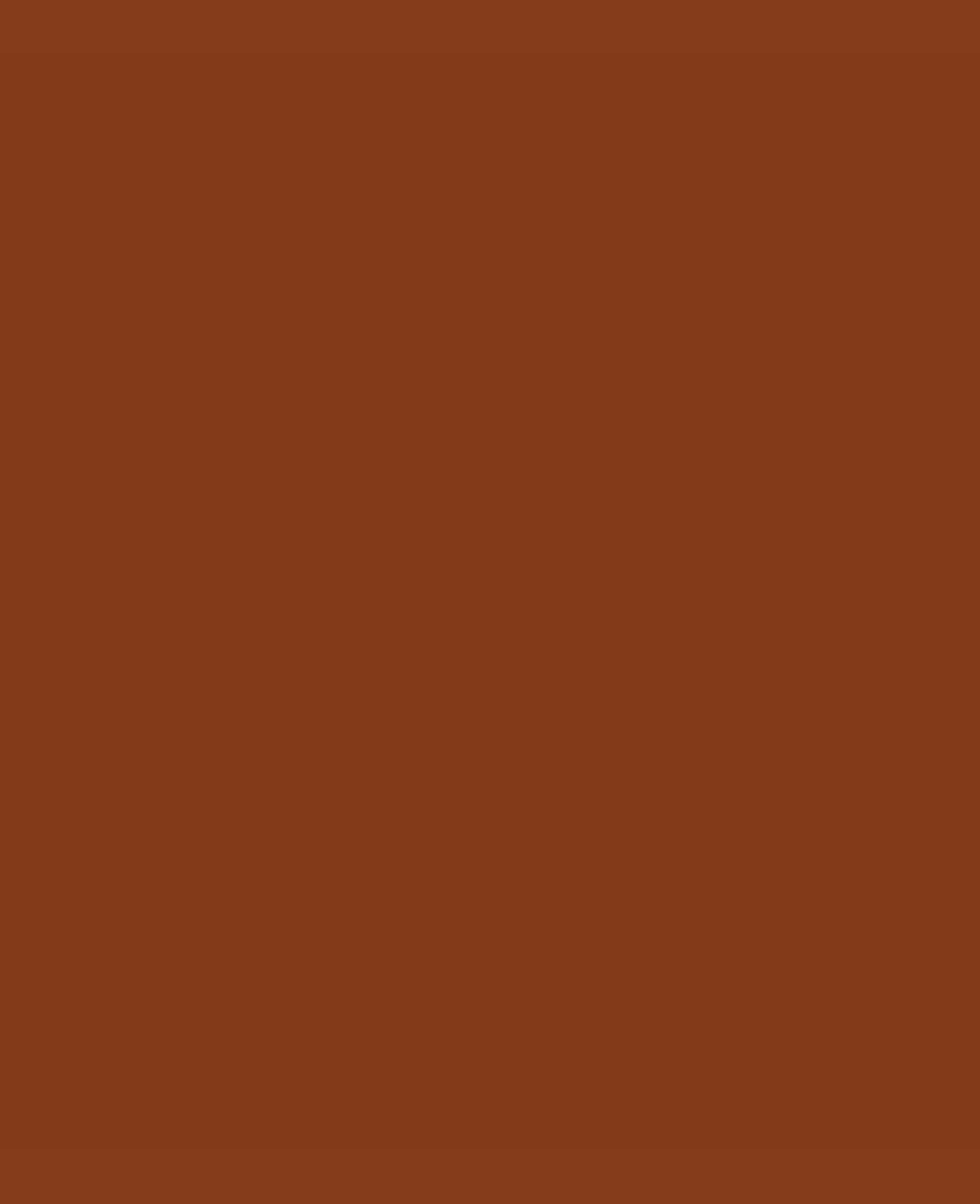 SOLO GOYA Triton Acrylic Paint Marker 1.4 Oxydbraun dunkel