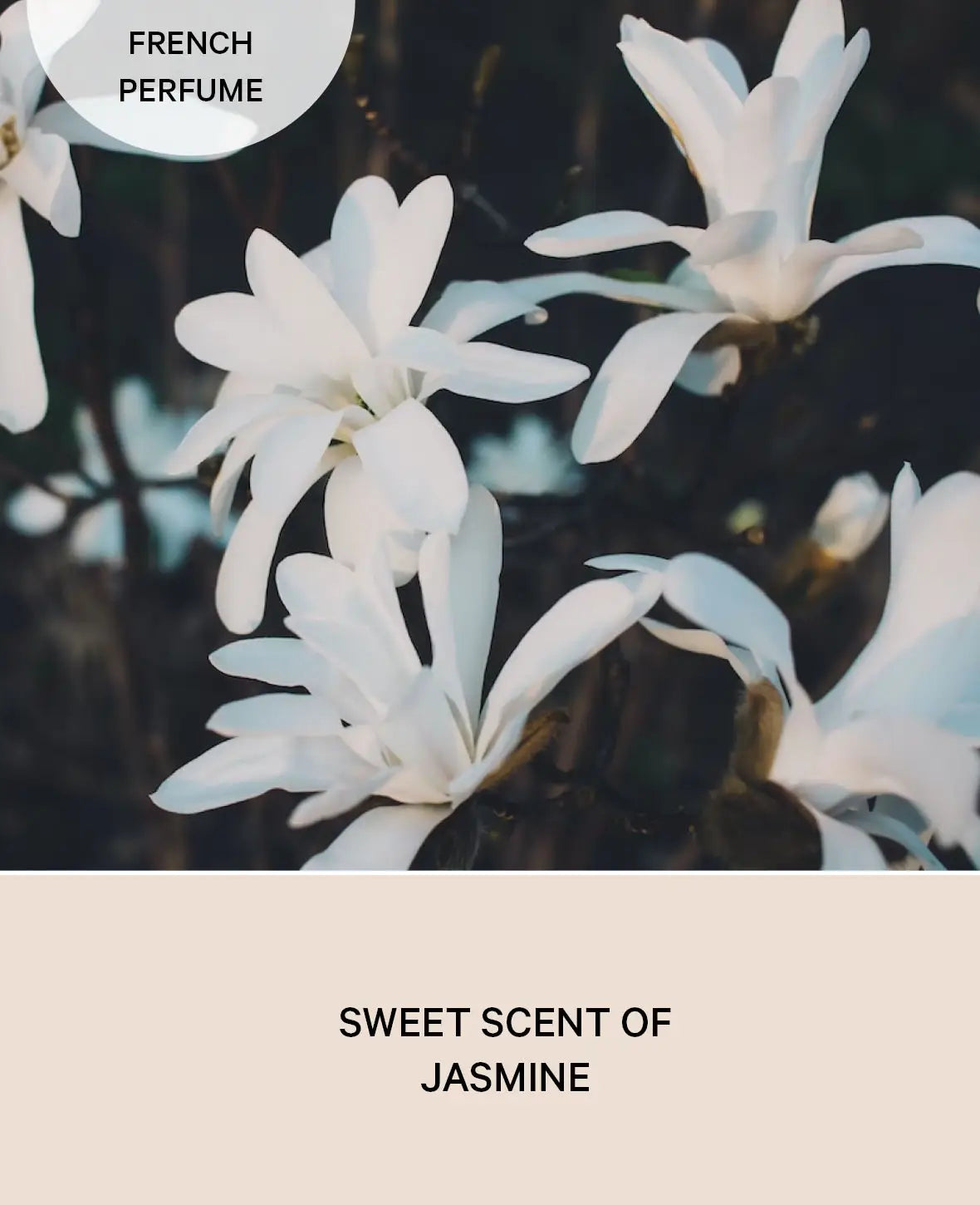 Diffuser, 75 ml, Midnight Jasmine