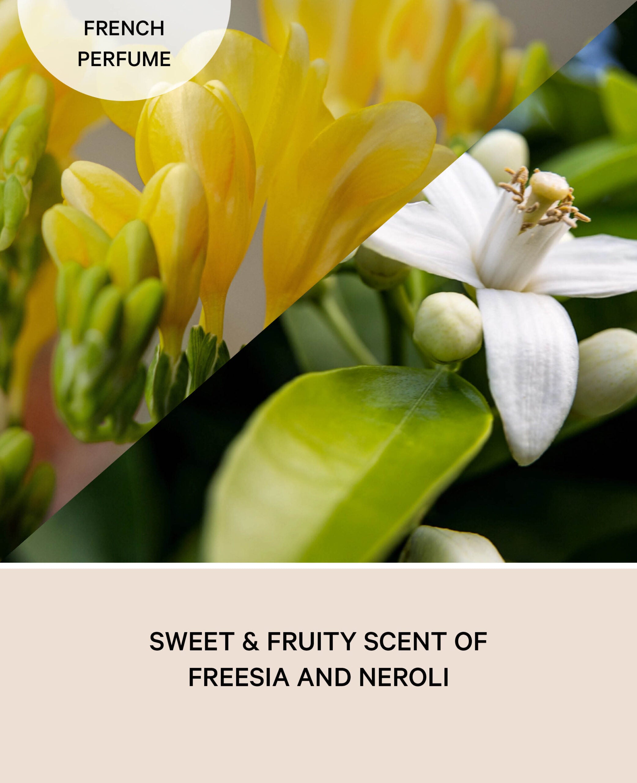 Fragrance Oil, Freesia Neroli