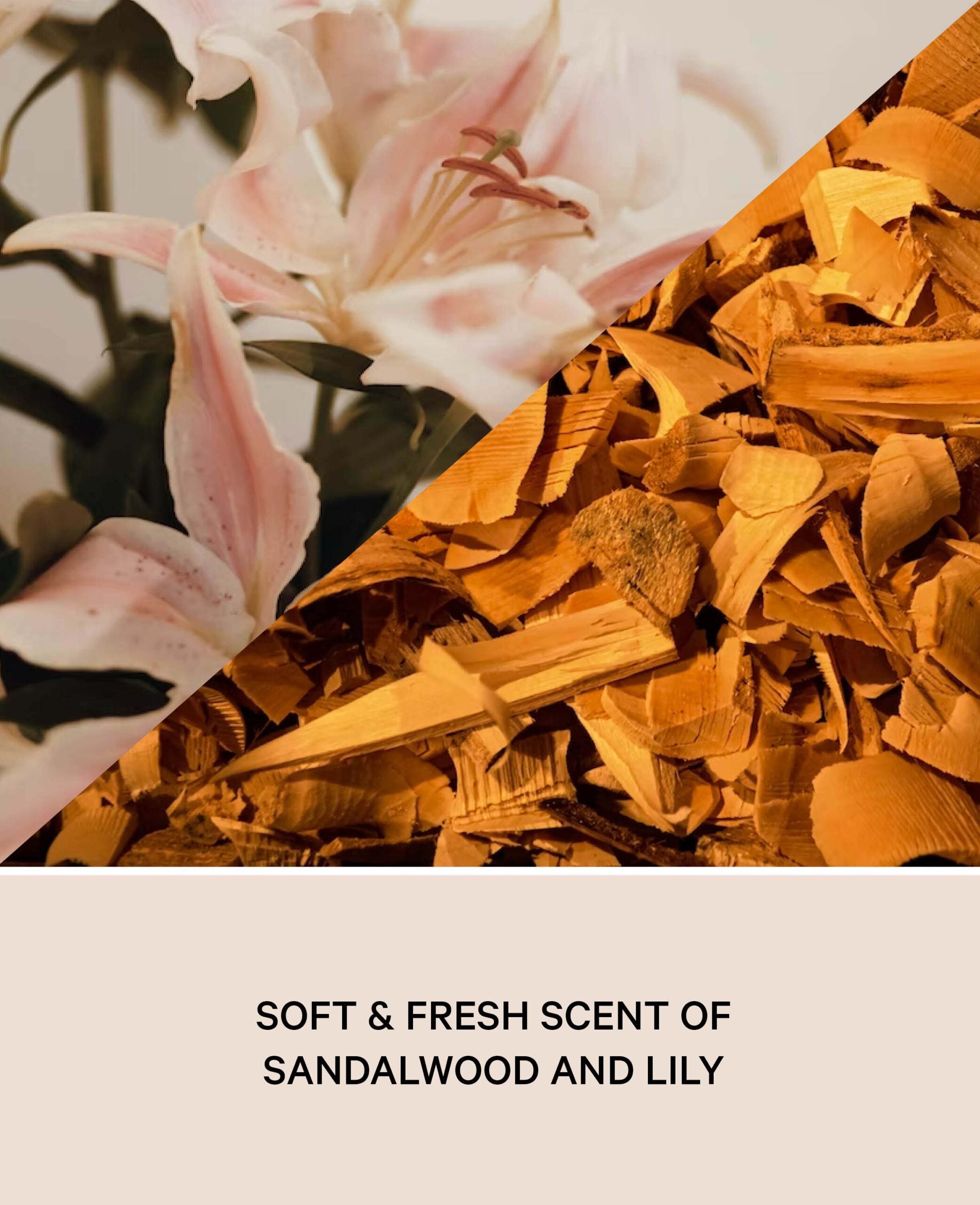 Duftöl / Raumduft für Duftlampen oder Potpurri, Sandalwood Lily, 10 ml