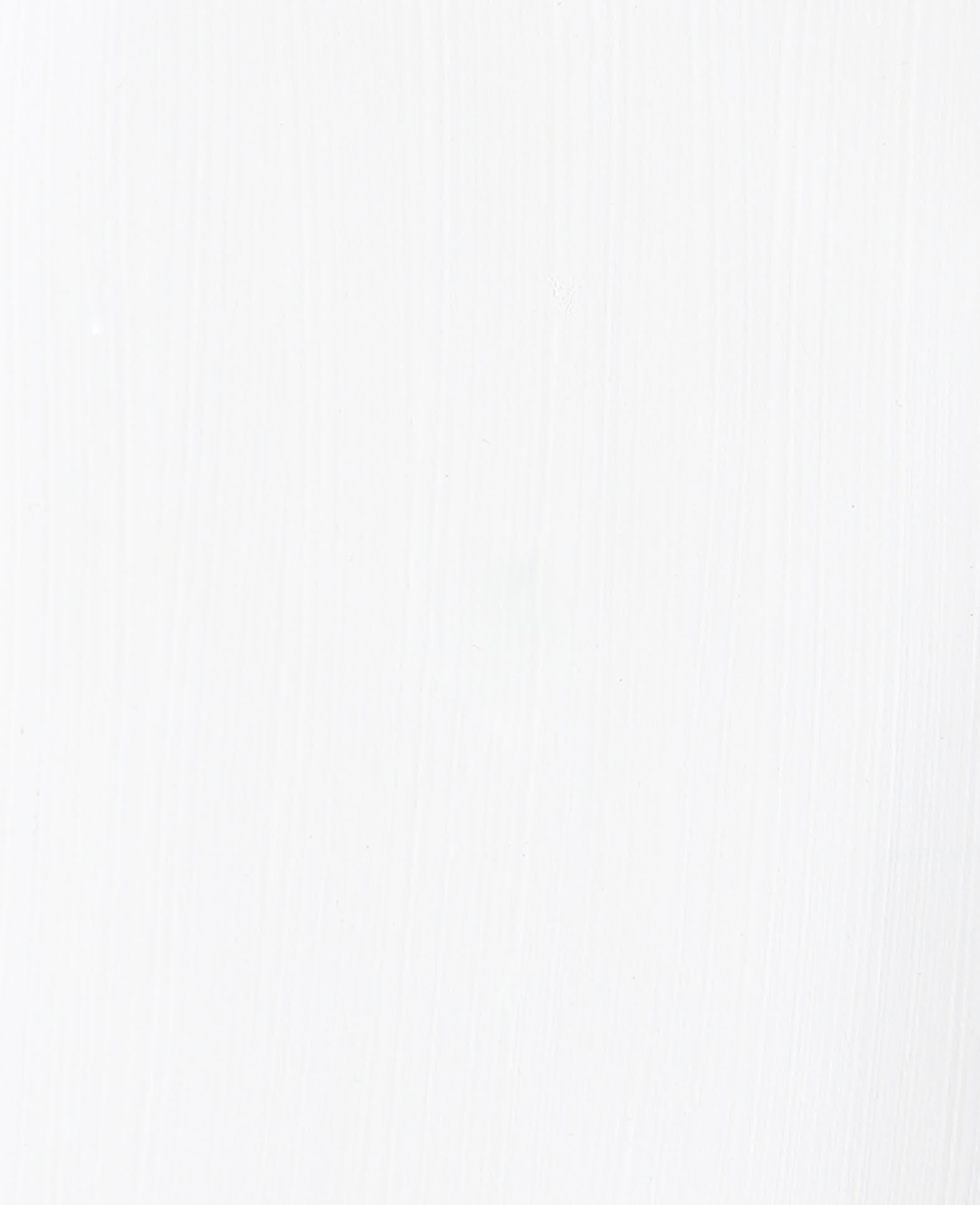 Acrylic Paint, White, 500 ml