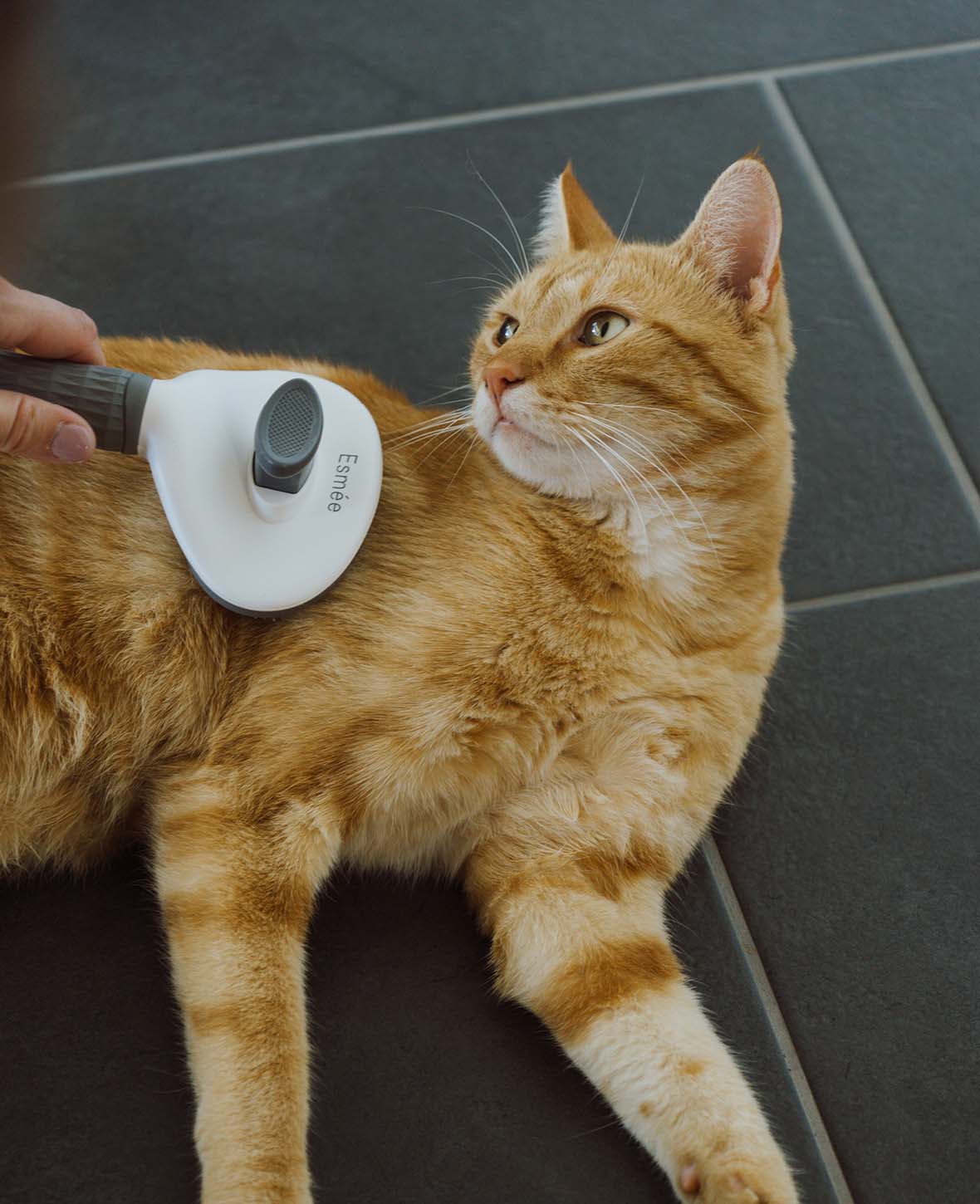 Self-Cleaning Pet Fur Brush