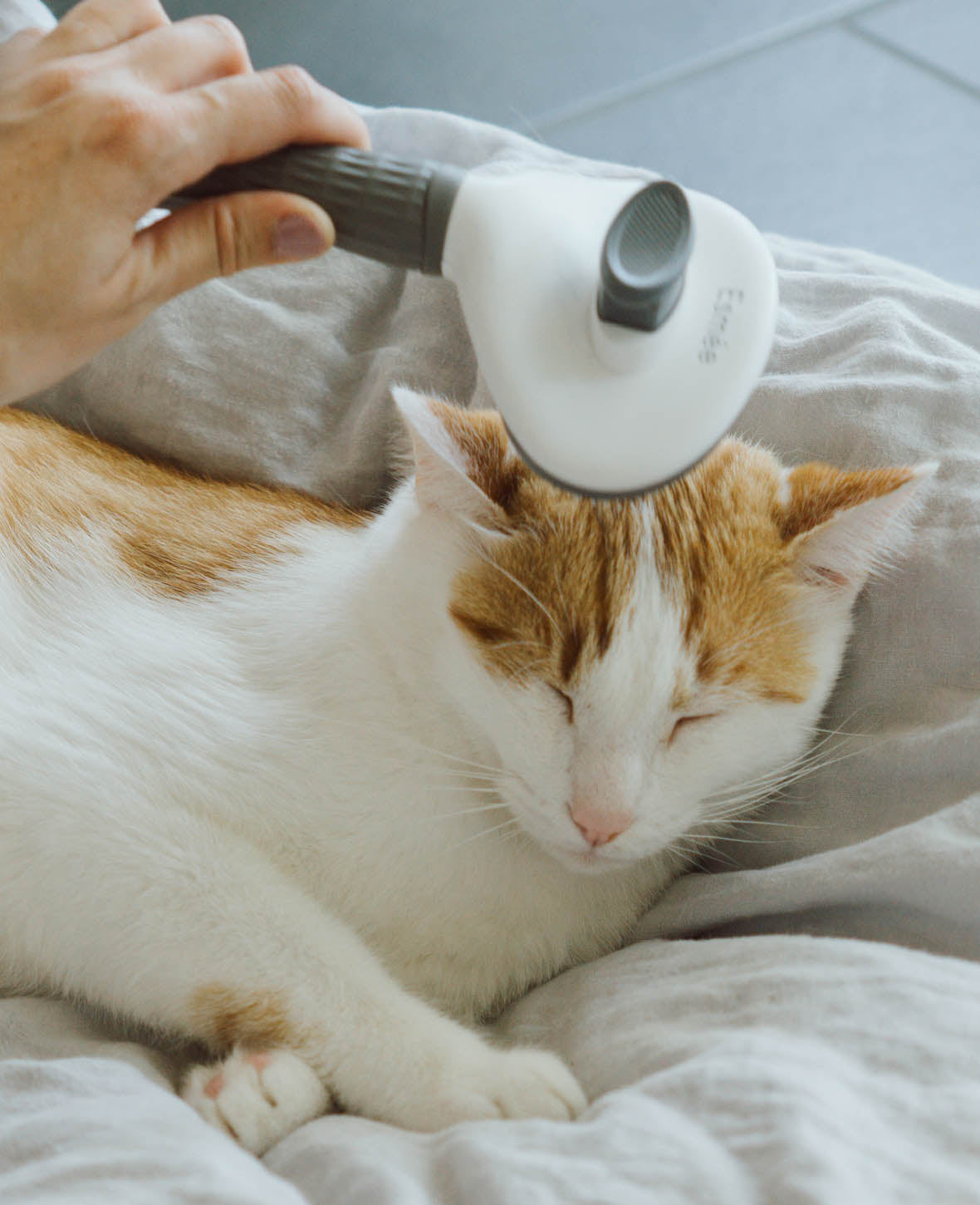 Self-Cleaning Pet Fur Brush