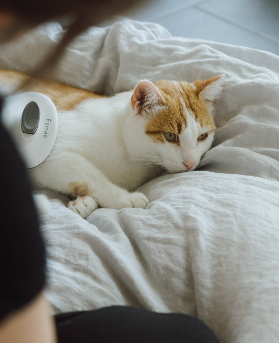 Self-Cleaning Pet Fur Brush