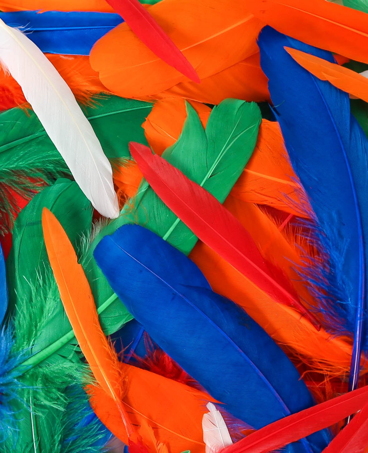 Plumes décoratives, Couleurs assorties, env. 5-18 cm, 130 p.