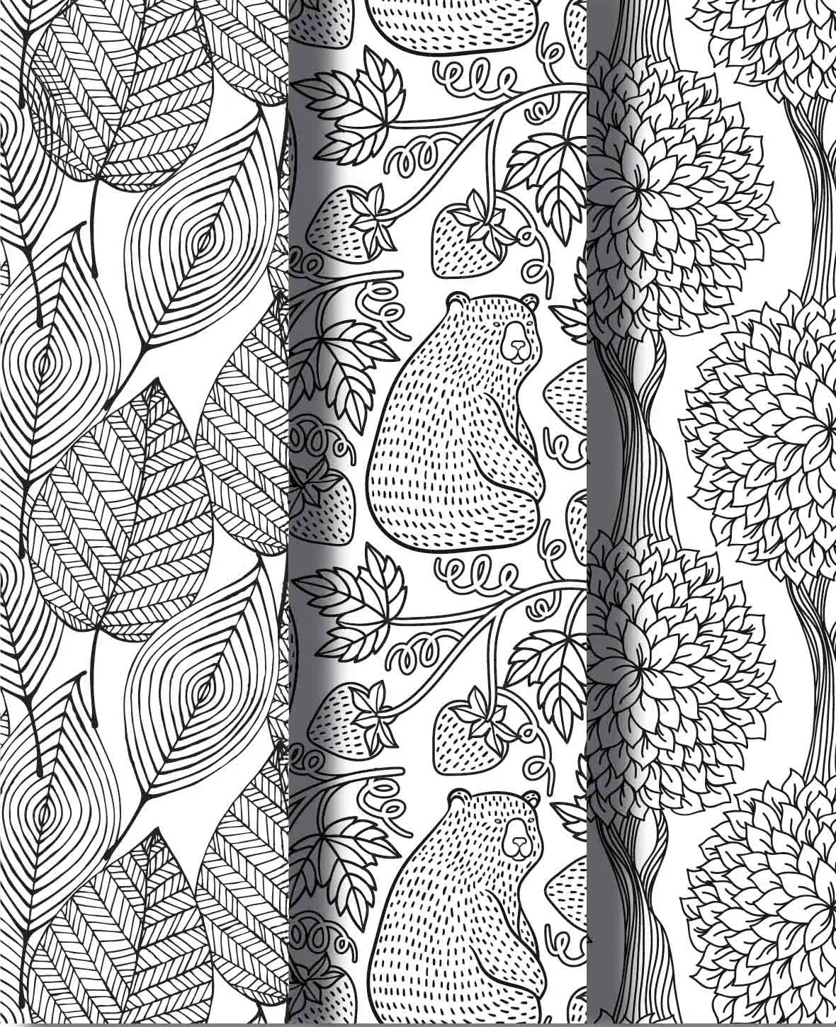 Ausmalbuch Waldleben aus FSC-Papier, 19.5 × 23 cm, 64 Seiten