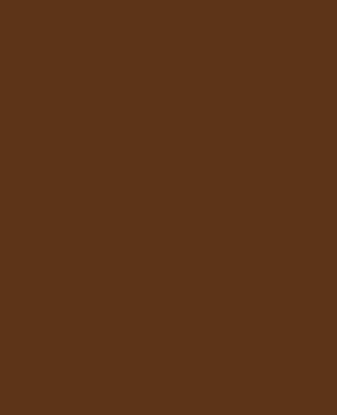 SOLO GOYA Acrylfarbe, Umbra, 100 ml