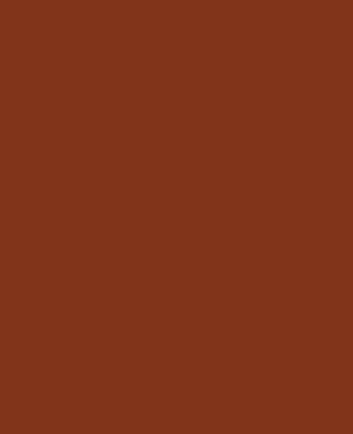 SOLO GOYA Acrylic Paint, Dark Brown, 100 ml