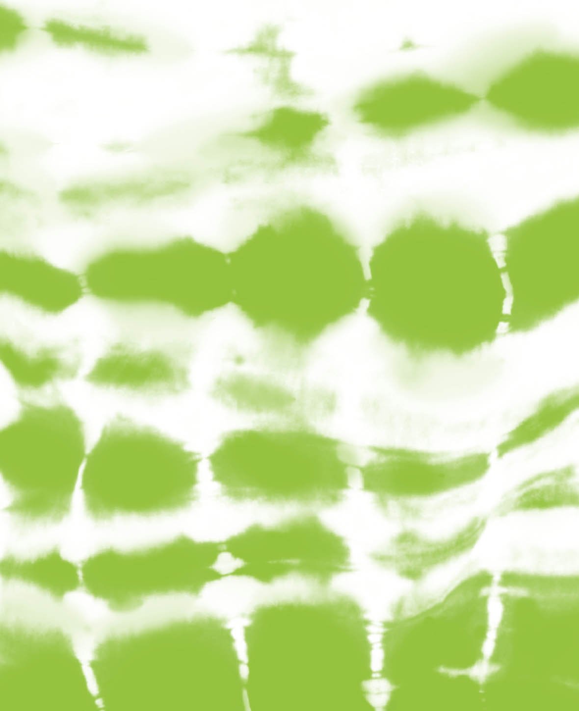 KREUL Batik-Textilfarbe Fresh Green, Farbpulver inklusive Färbesalz zum Färben und Batiken von Textilien, 70 g, Hellgrün