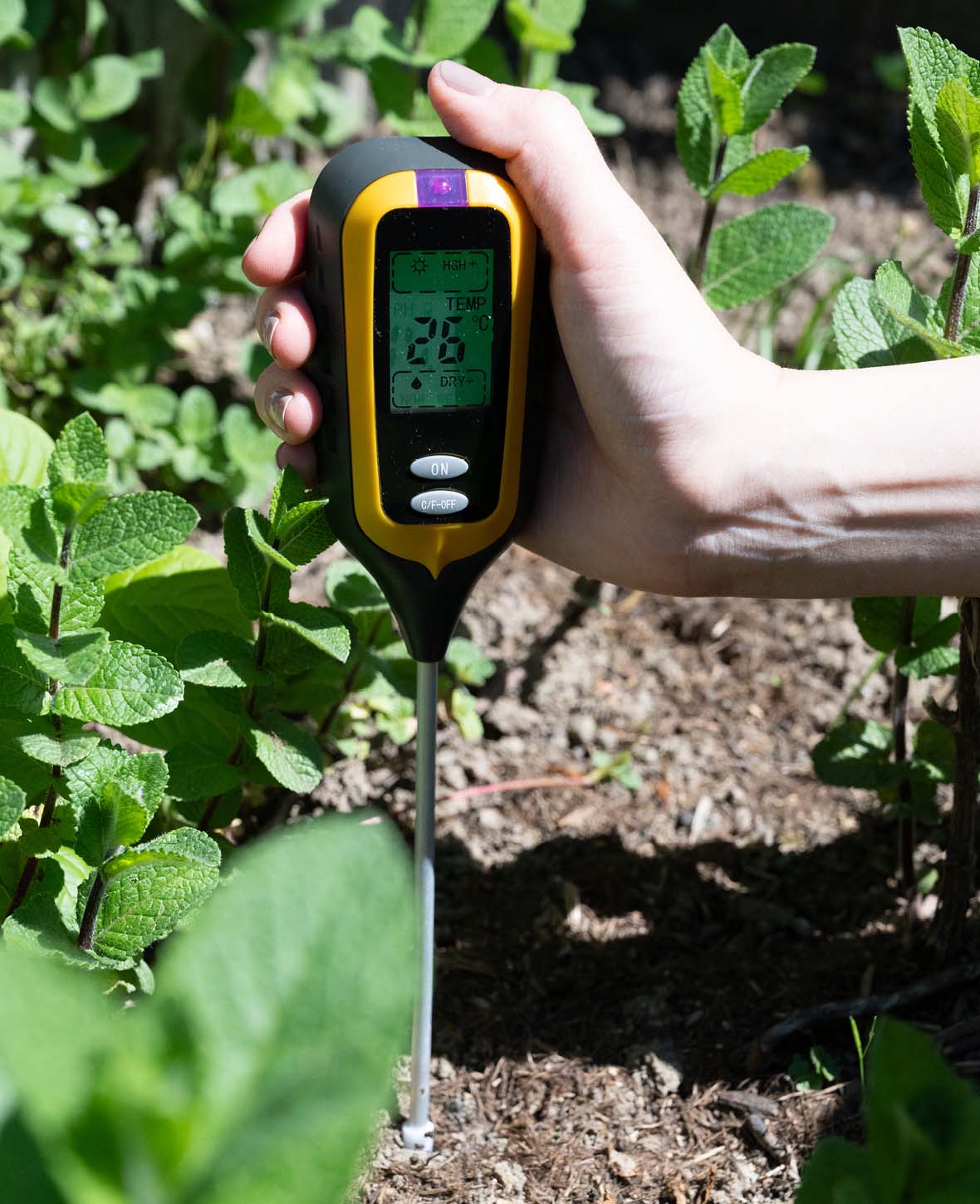 4in1 Bodentester pH-Wert Messgerät Feuchtigkeit Pflanzenerde Garten