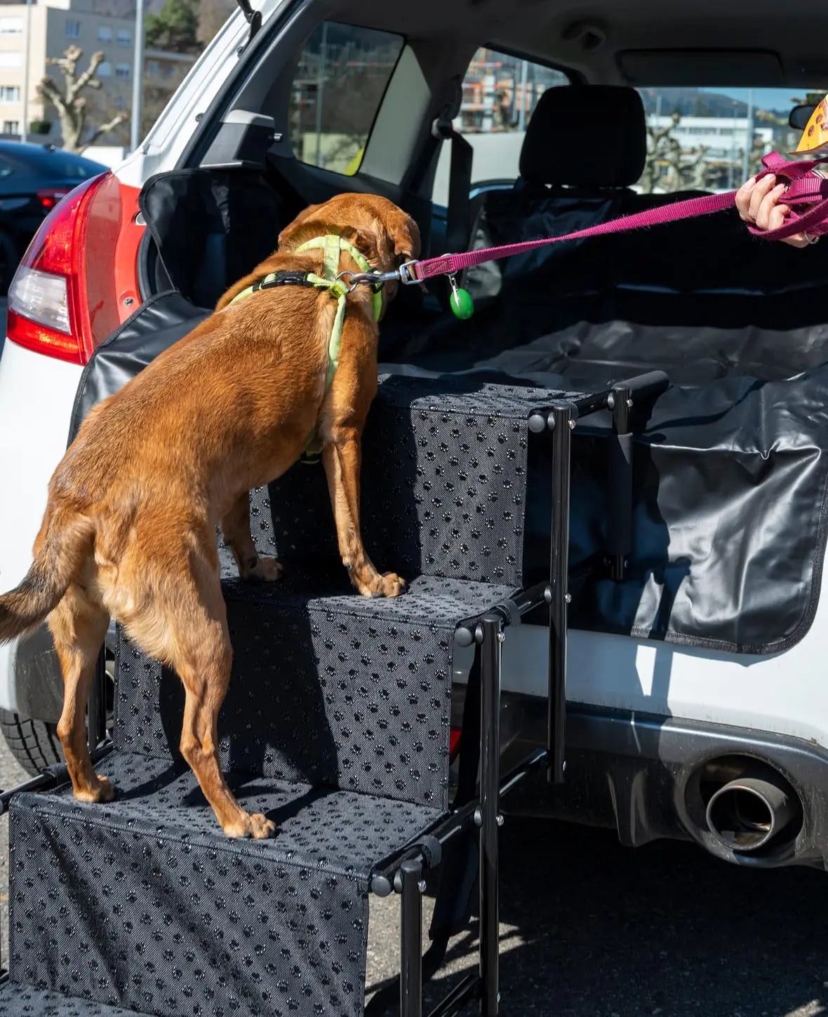 Faltbare Hundetreppe Auto Einstieghilfe Tragbare Hunde Rampe - Schwarz