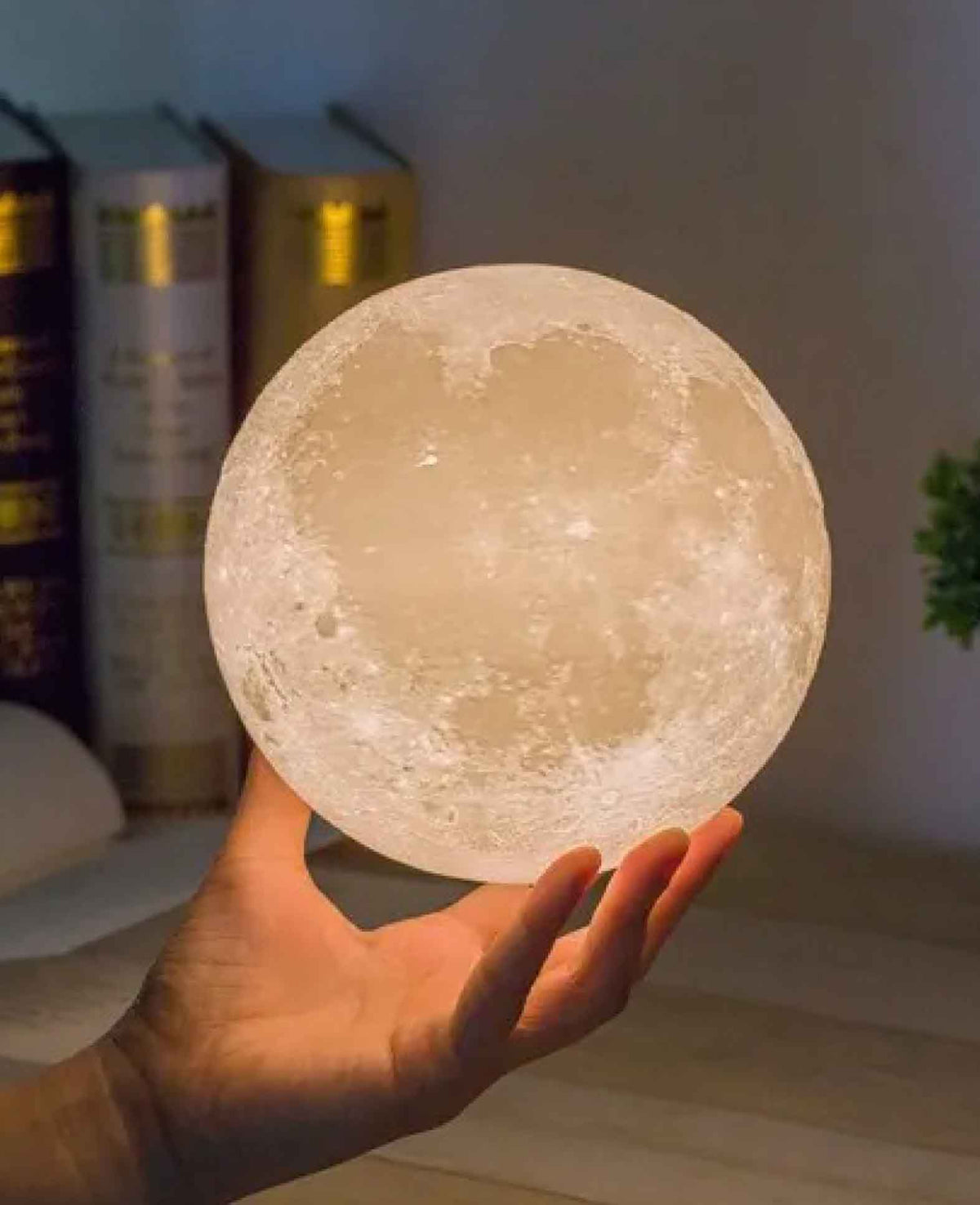 Schwebende LED Mond Lampe mit Holzsockel, Braun, Ø 15cm