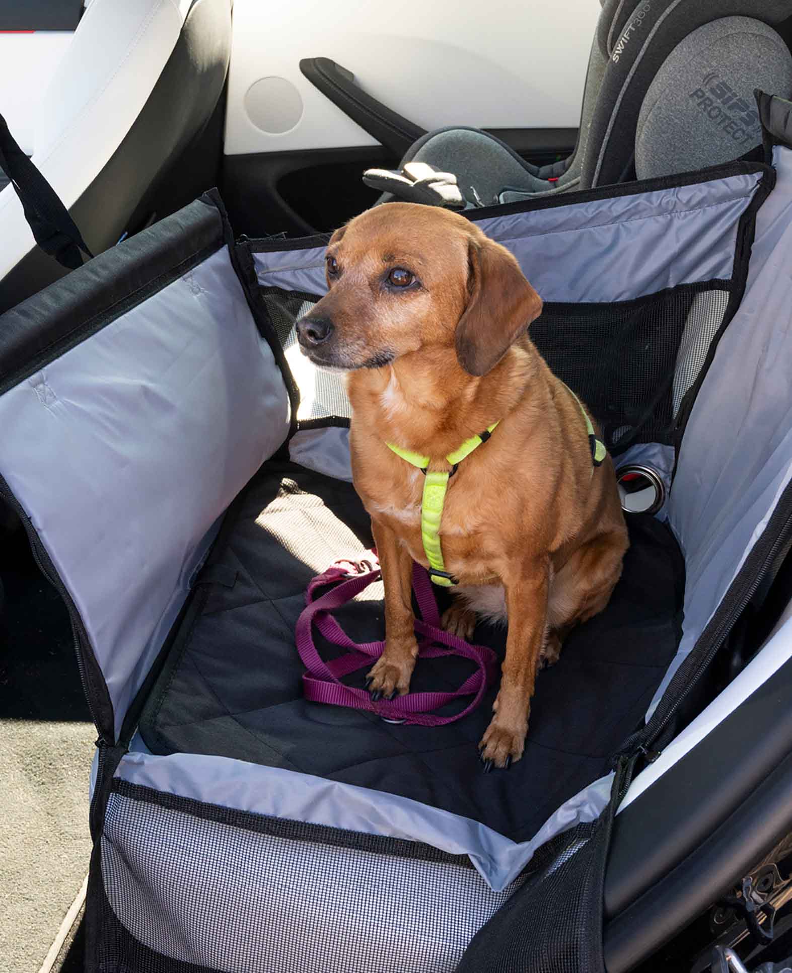 (49x49cm) Siège auto pour chien pour banquette arrière Siège de transport pliable + Ceinture de sécurité