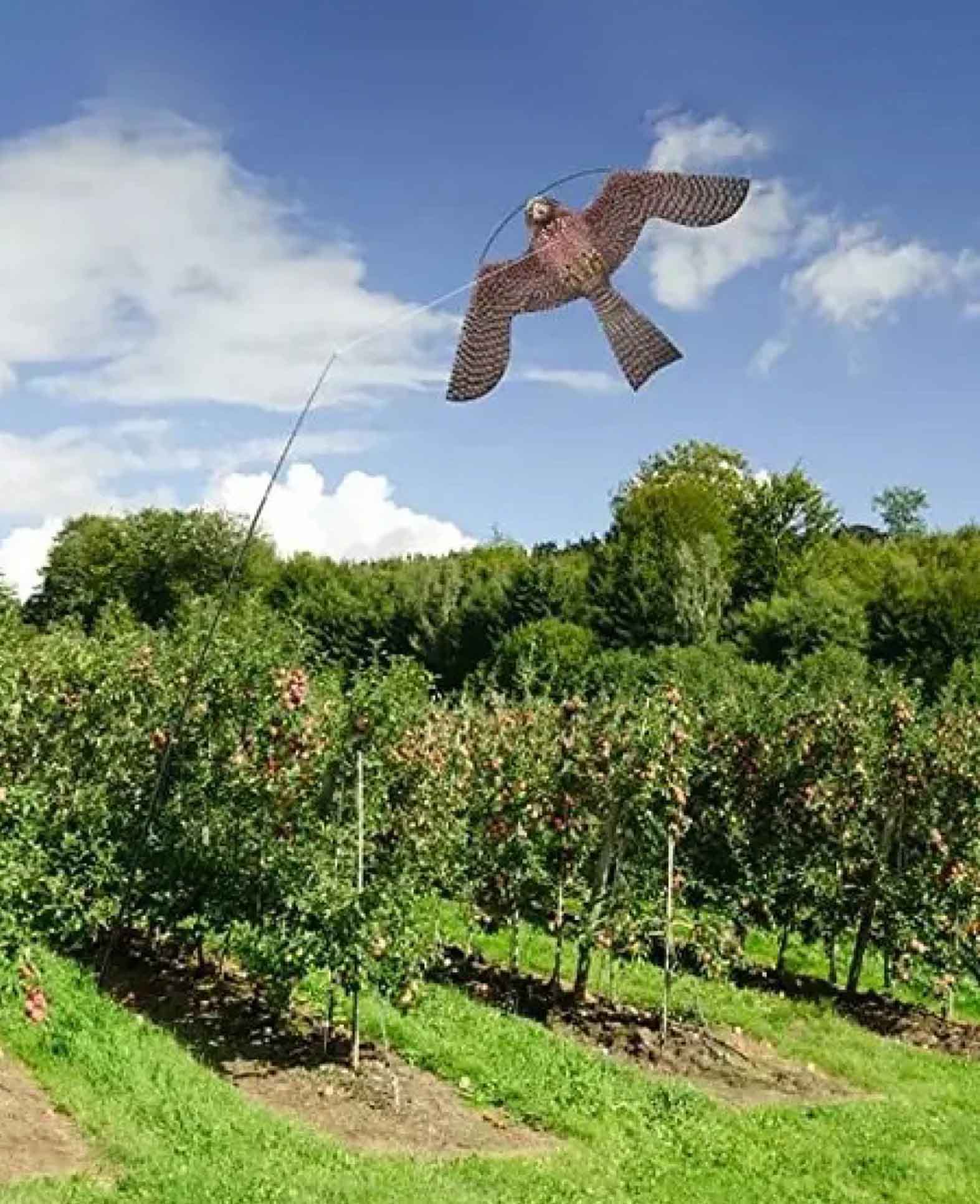 Vogel Schreck Garten Schutz Vogelabwehr Flugdrache mit 4m Telesko