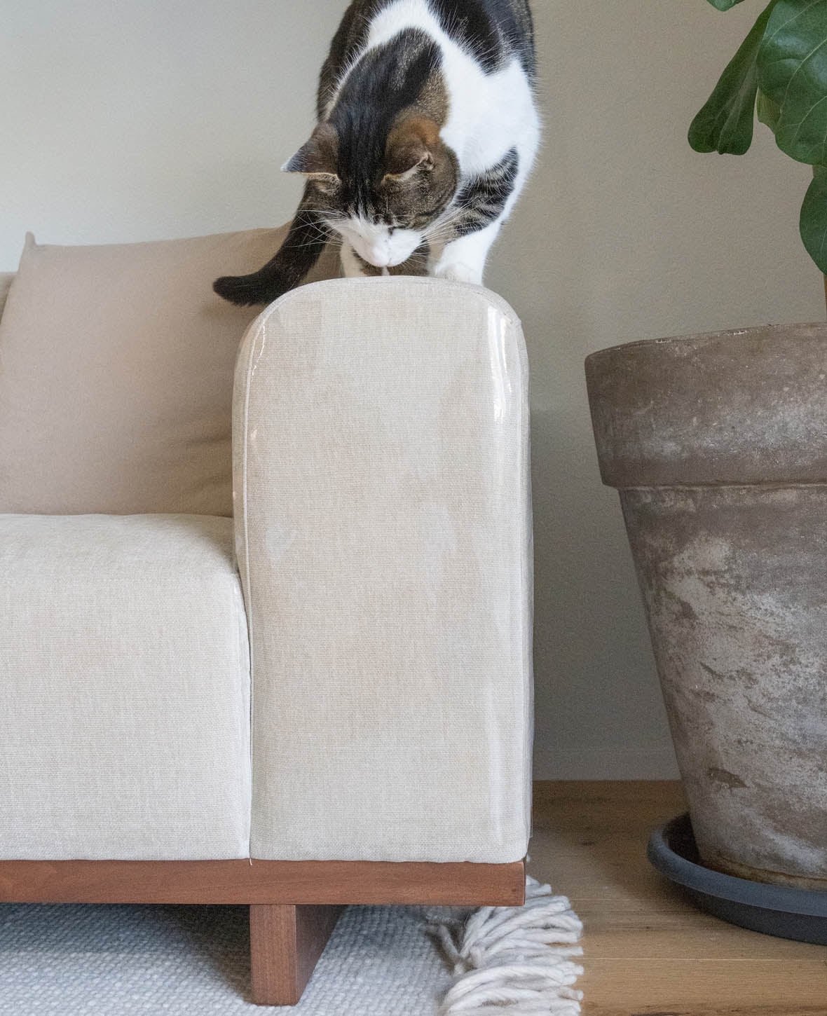 (Lot de 8) Protection adhésive anti-rayures pour chats 42,5x22,5cm Découpable