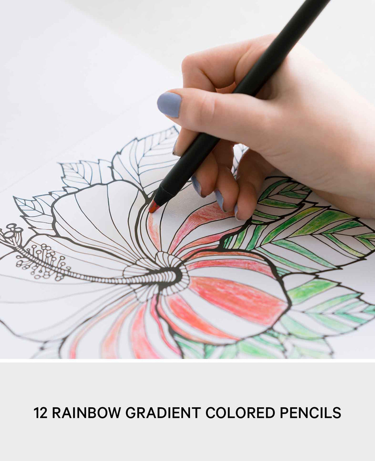 Wooden Kids Colored Pencils Sketch Gradient Color Pencils, 17.5cm, 12 pcs.