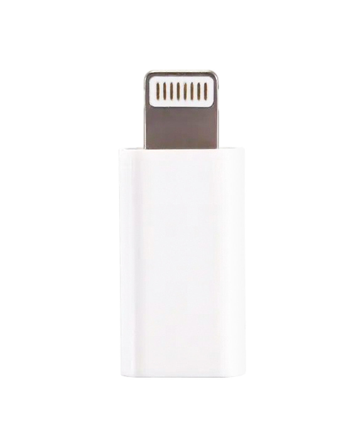 Adaptateur Mini Convertisseur USB-C vers Lightning - Blanc