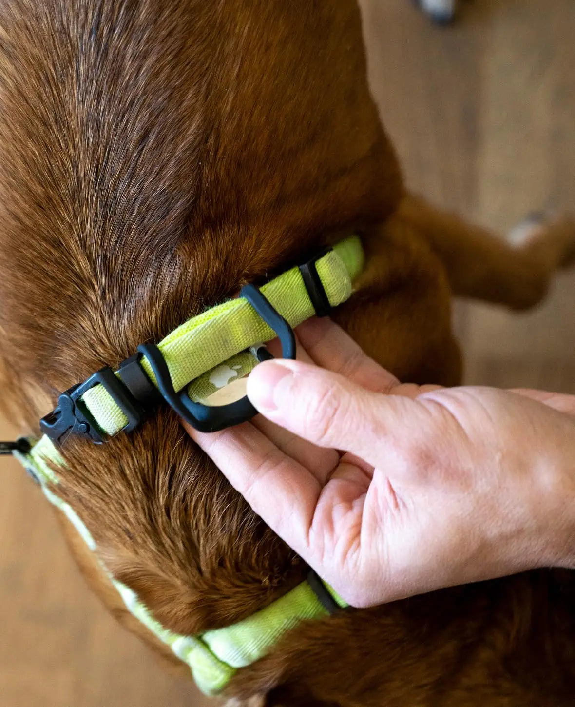 Apple AirTag Silikon Case Hülle Halsband Halterung für Haustiere, Schwarz