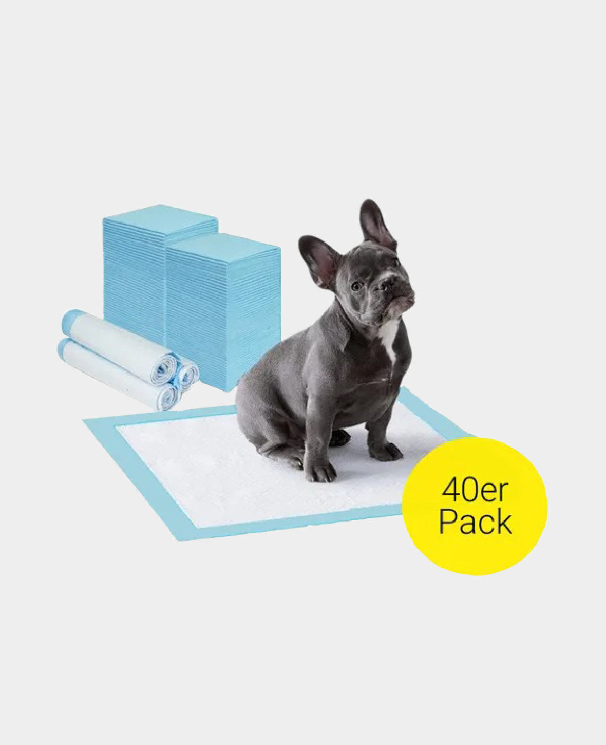 (40er Set) 60x60 Absorbierende Welpen Hygiene Matte – Blau