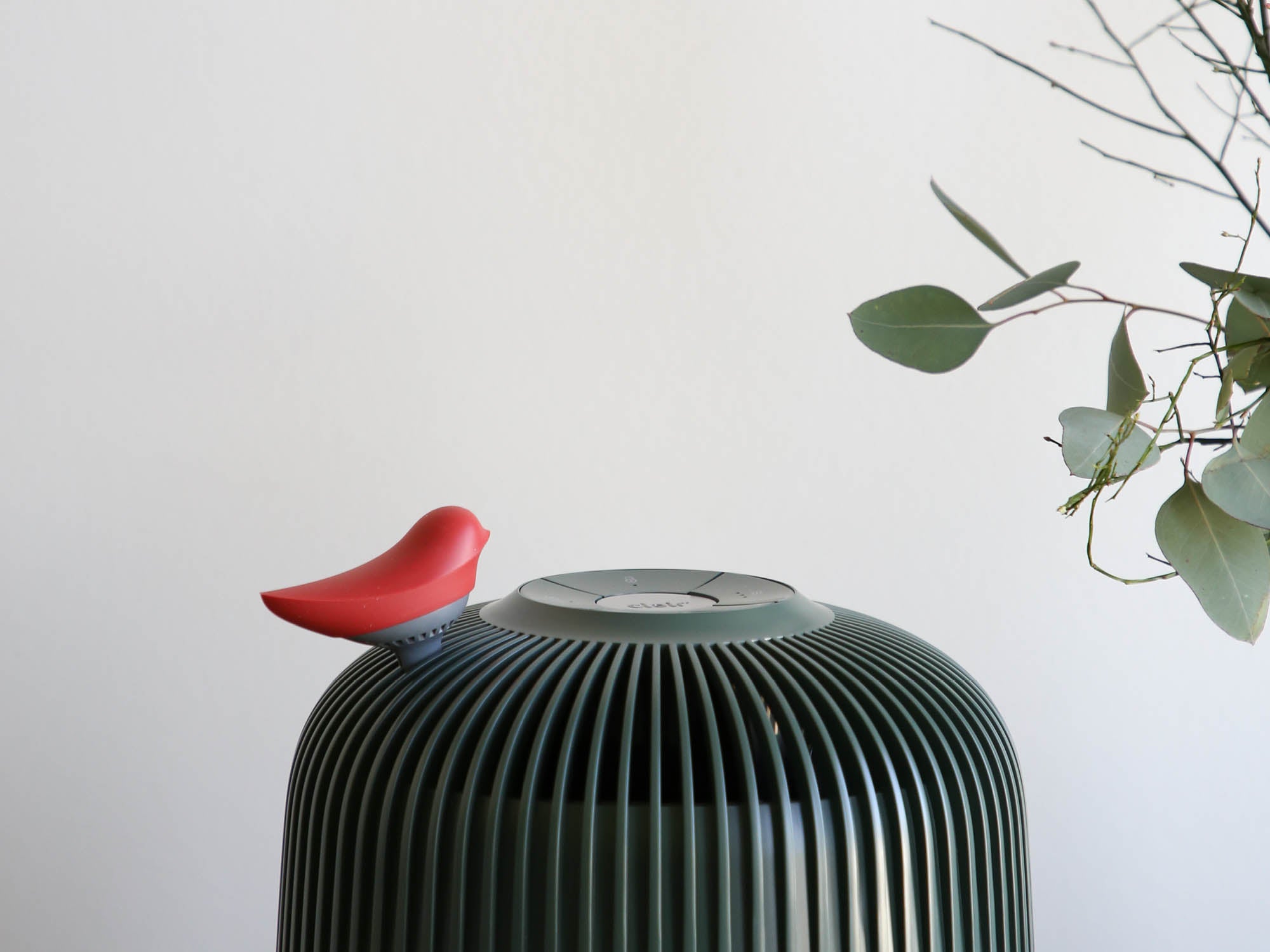 Clair K Vogeldiffusor, Rot