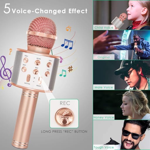 Karaoke Mikrofon mit Bluetooth / AUX / TF-Karte und integriertem Lauts